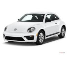Beetle 2016-2017